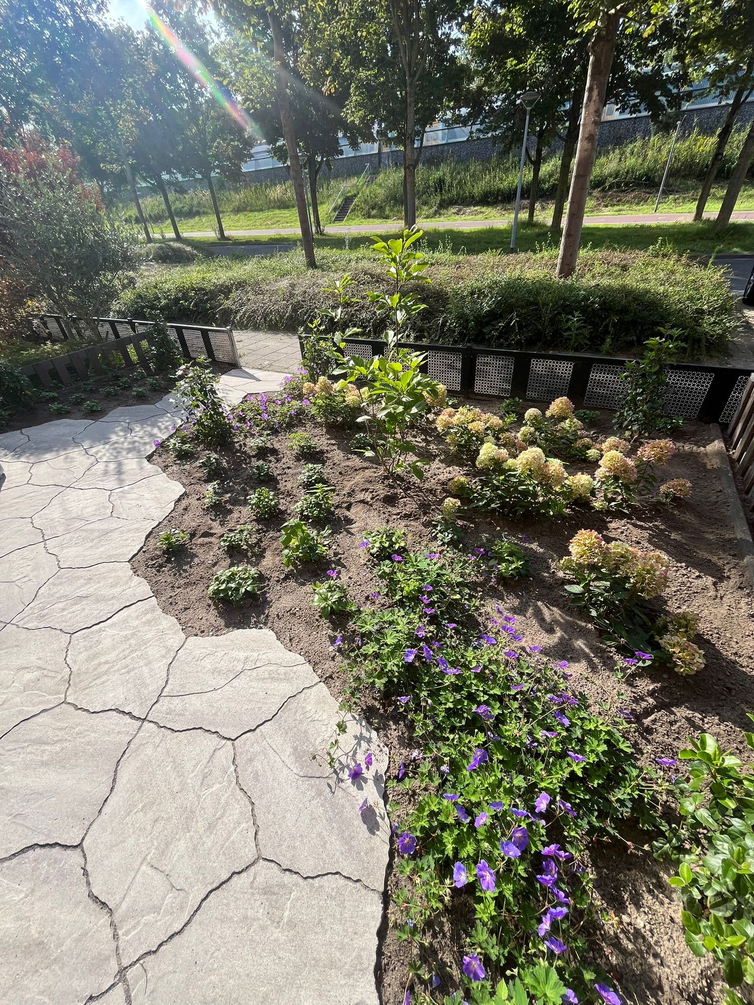 Voor de tuinrenovatie